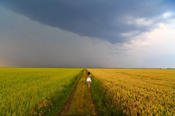 Nuvole di pioggia su un campo di fattoria — Foto Stock