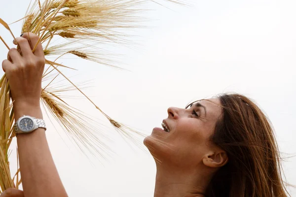 Mano donna toccare le spighe di grano sul campo — Foto Stock