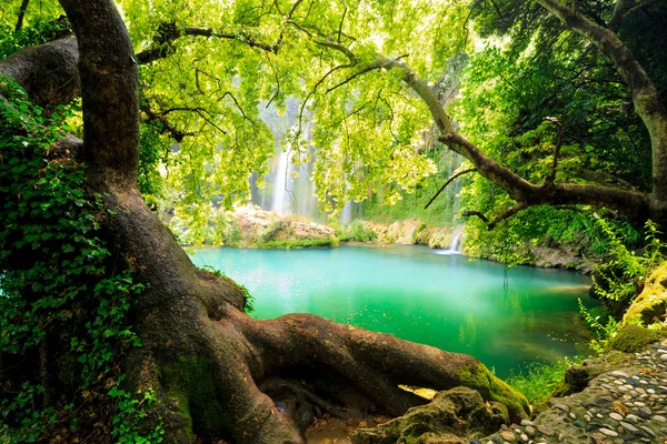 Una hermosa cascada en el bosque en un río — Foto de Stock