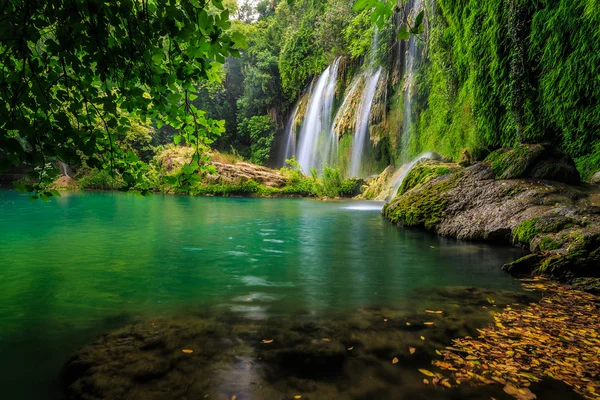 bir nehir üzerinde ormandaki güzel bir şelale