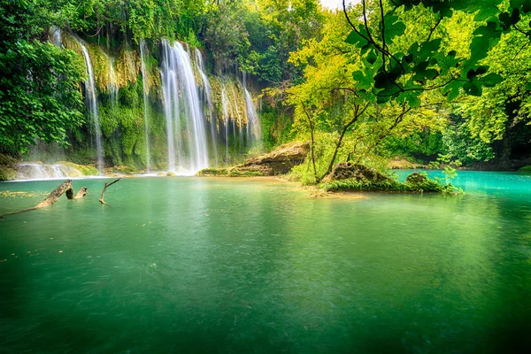 川沿いの森の中の美しい滝 — ストック写真