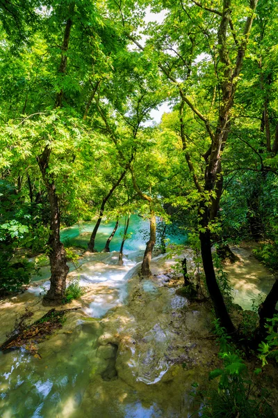 森に山川と牧歌的なシナリオ — ストック写真