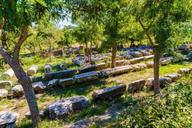 The ruins of the legendary ancient city of Troy. Turkey clipart