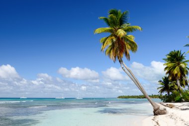 Caribbean Beach beyaz kum ile ve eski güzel şaşırtıcı görünümü