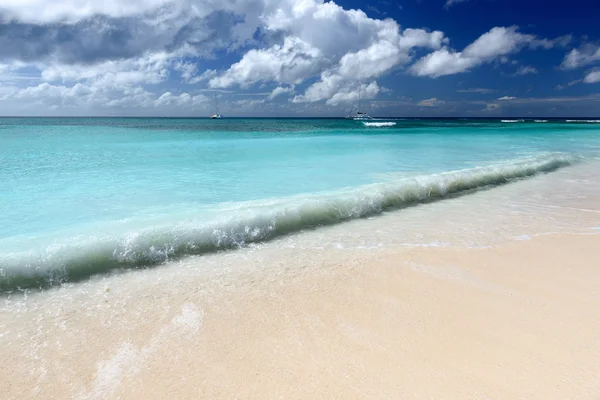 Paisaje tropical con una playa en un día soleado —  Fotos de Stock