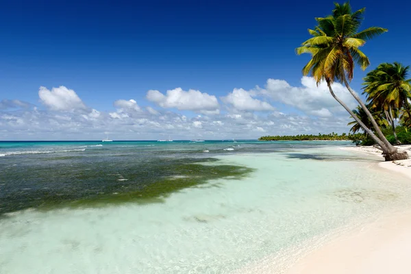 Vista incrível da praia do Caribe com areia branca e bela ex — Fotografia de Stock