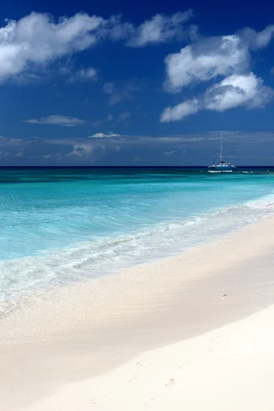 Pemandangan tropis dengan pantai di hari yang cerah — Stok Foto