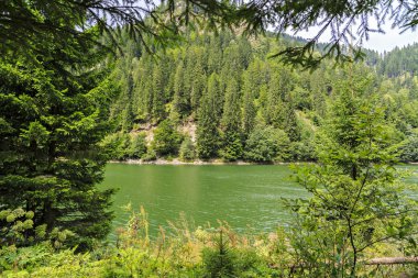 Romen dağlarda petrimanu Gölü ile peyzaj