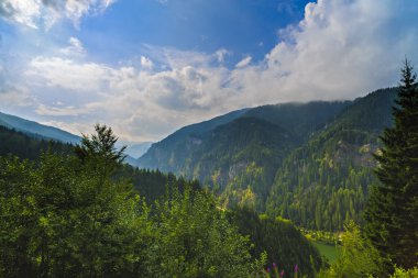 Karpat Dağları, R güzel vahşi dağ manzarası