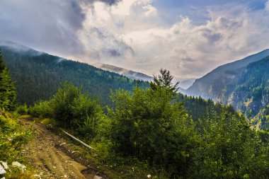 Karpat Dağları, R güzel vahşi dağ manzarası