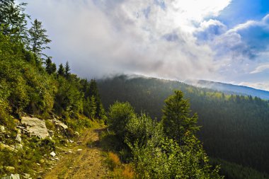 Karpat Dağları, R güzel vahşi dağ manzarası