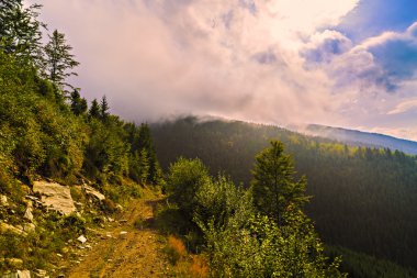 Karpat Dağları, R güzel vahşi dağ manzarası