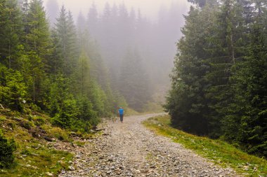 adam sis bir dağ yolu üzerinde