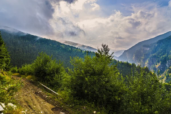 Karpat Dağları, R güzel vahşi dağ manzarası