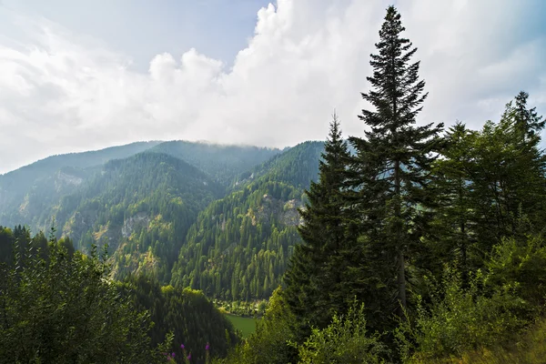 Hermoso paisaje de montaña salvaje en las montañas de los Cárpatos, R — Foto de Stock