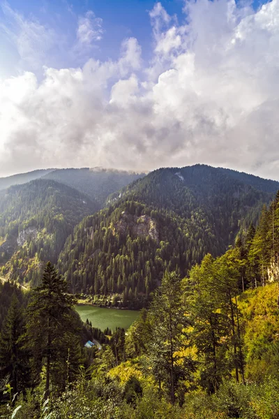 Prachtig wild berglandschap in de Karpaten, R — Stockfoto