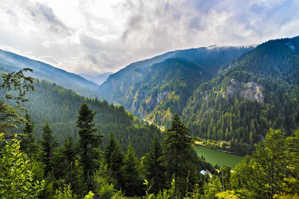 Karpat Dağları, R güzel vahşi dağ manzarası
