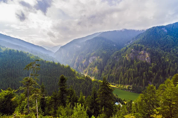 Beautiful wild mountain landscape in the Carpathian Mountains, R — Stock Photo, Image