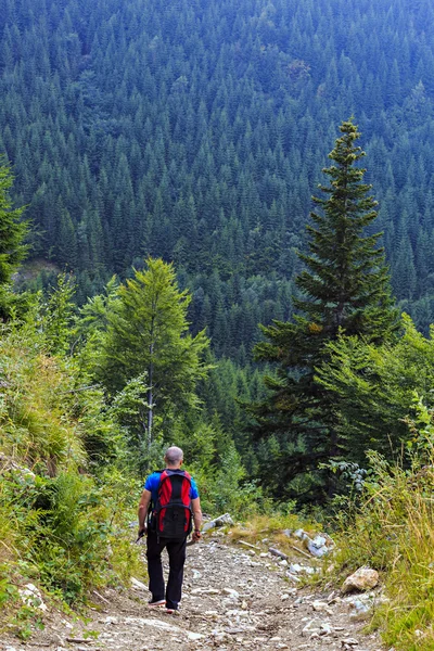 Tourist walking on a mountain road — Stock Photo, Image