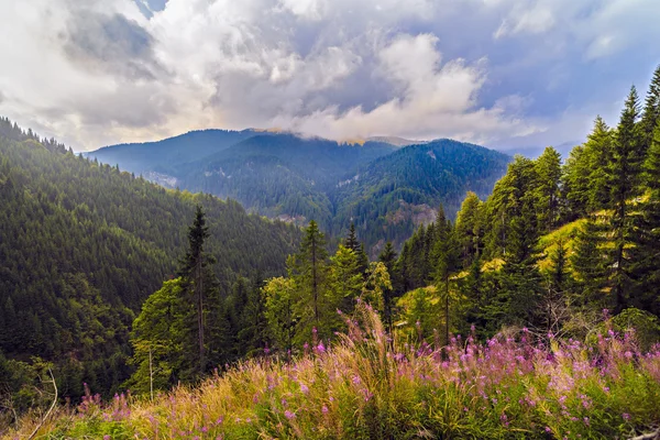 Krásné hornaté krajiny v Karpatských horách, R — Stock fotografie