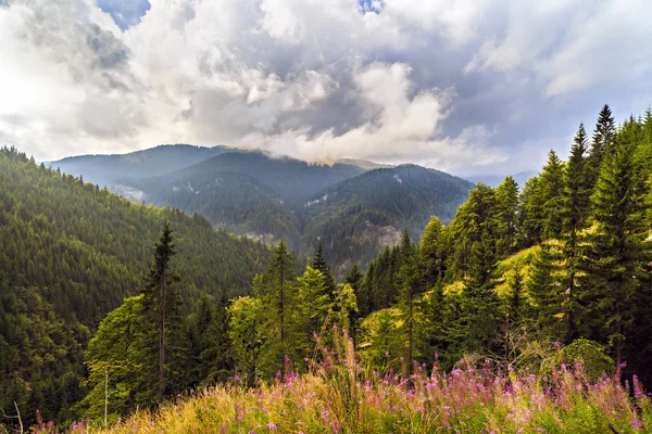 Krásné hornaté krajiny v Karpatských horách, R — Stock fotografie