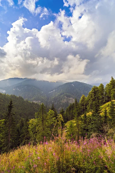 Krásné hornaté krajiny v Karpatských horách, R — Stock fotografie