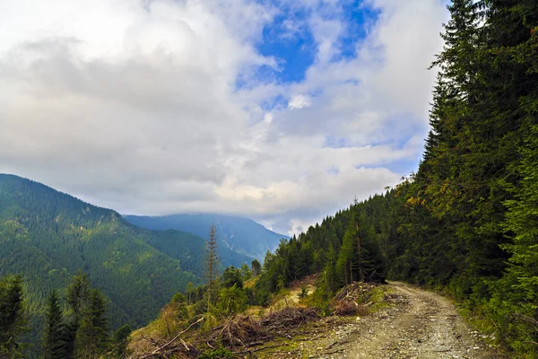 Bellissimo paesaggio montano selvaggio nelle montagne dei Carpazi, R — Foto Stock