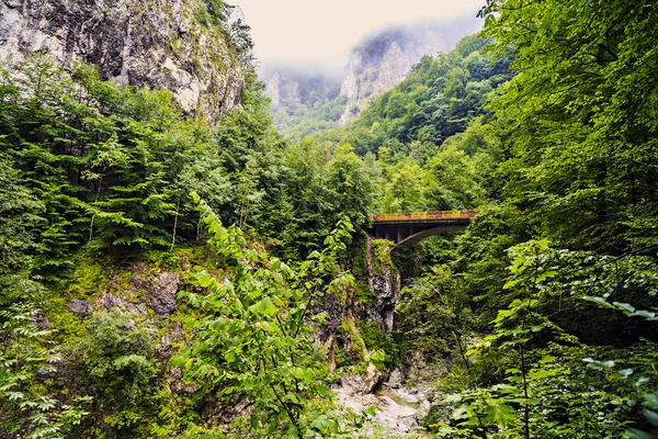 Pont sur une rivière de montagne dans les Carpates, Roumanie — Photo