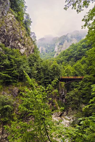 Pont sur une rivière de montagne dans les Carpates, Roumanie — Photo