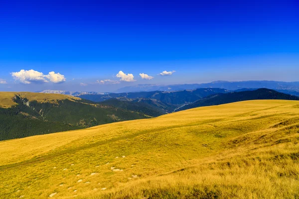 Dağ manzarası ile sarı çim Yaylası — Stok fotoğraf