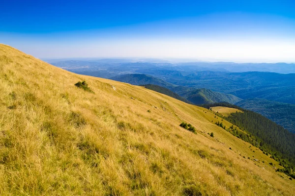 Horská krajina s žlutou trávou plošina — Stock fotografie