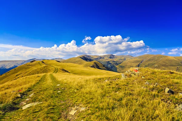 Dağ manzarası ile sarı çim Yaylası — Stok fotoğraf