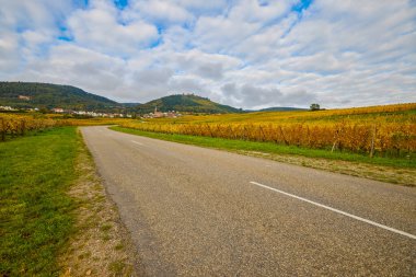 Sonbahar boyunca Alsace bölgesinde üzüm bağları olan güzel bir manzara..