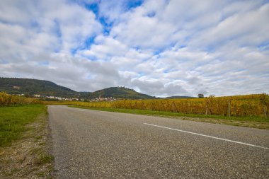 Sonbahar boyunca Alsace bölgesinde üzüm bağları olan güzel bir manzara..