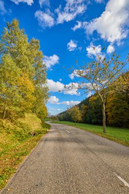Sonbahar boyunca renkli ağaçlarla dolu bir dağ yolu.