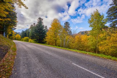 Sonbahar boyunca renkli ağaçlarla dolu bir dağ yolu.