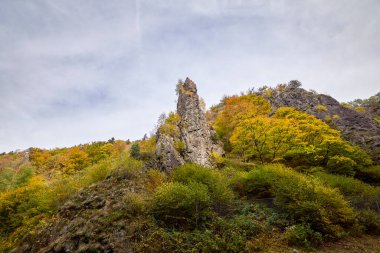 Güz renklerinde güzel dağ manzarası Almanya 'nın Kara Orman dağlarında.