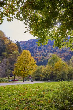 Güz renklerinde güzel dağ manzarası Almanya 'nın Kara Orman dağlarında.