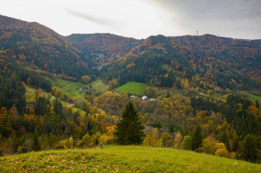 Güz renklerinde güzel dağ manzarası Almanya 'nın Kara Orman dağlarında.