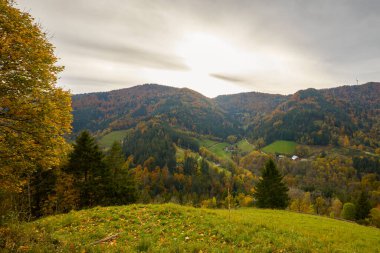 Güz renklerinde güzel dağ manzarası Almanya 'nın Kara Orman dağlarında.