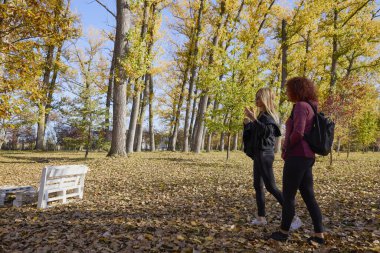 Orta yaşlı bir kadın arkadaşıyla parkta yürüyor, rahatlıyor, sohbet ediyor ve bir şeyler atıştırıyor..