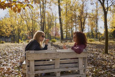 Orta yaşlı bir kadın arkadaşıyla parkta yürüyor, rahatlıyor, sohbet ediyor ve bir şeyler atıştırıyor..