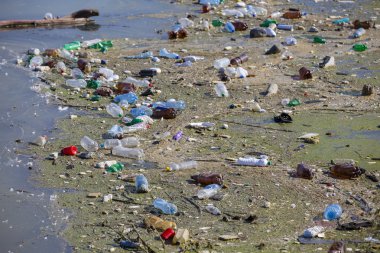 Kirli bir göl kenarında şişeler