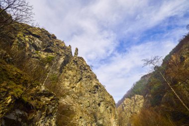 Karpatya Dağları 'ndaki dağ manzarası, Romanya, Mehedinti, karsız bir kış gününde.