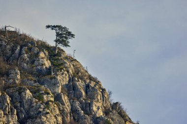 Karpatya Dağları 'ndaki dağ manzarası, Romanya, Mehedinti, karsız bir kış gününde.
