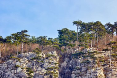 Karpatya Dağları 'ndaki dağ manzarası, Romanya, Mehedinti, karsız bir kış gününde.
