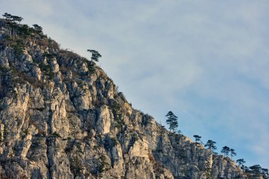 Karpatya Dağları 'ndaki dağ manzarası, Romanya, Mehedinti, karsız bir kış gününde.