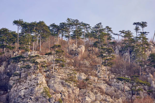 Karpatya Dağları 'ndaki dağ manzarası, Romanya, Mehedinti, karsız bir kış gününde.