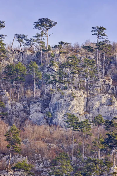 Karpatya Dağları 'ndaki dağ manzarası, Romanya, Mehedinti, karsız bir kış gününde.