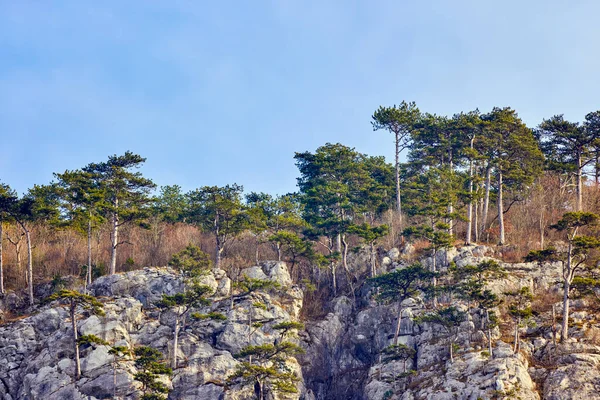 Karpatya Dağları 'ndaki dağ manzarası, Romanya, Mehedinti, karsız bir kış gününde.